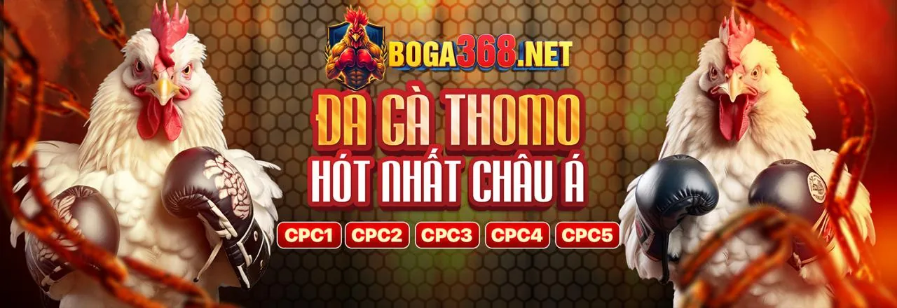 Chính sách bảo mật và an toàn dữ liệu tại Winbet uy tín az